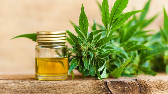 cbd-oil