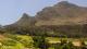 Mountains and grape farm in Cape Town, South Africa