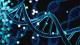 Link to Biological Sciences with Foundation BSc Honours