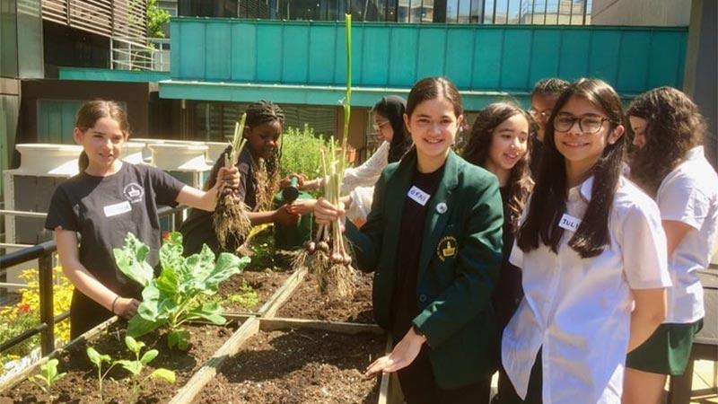 Cavendish Living Lab and St Marylebone students near plants