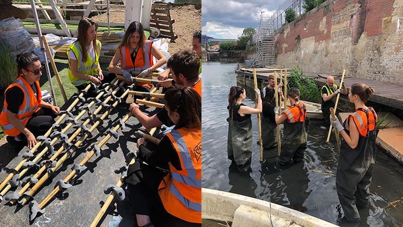 Westminster students volunteer to assist with restorations of Cody Dock at River Lea