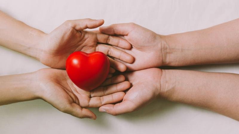 Stock image of a red heart being held by some hands.